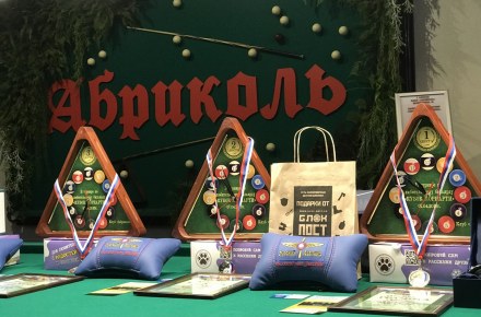 Бильярдный клуб «АБРИКОЛЬ», г. Орел